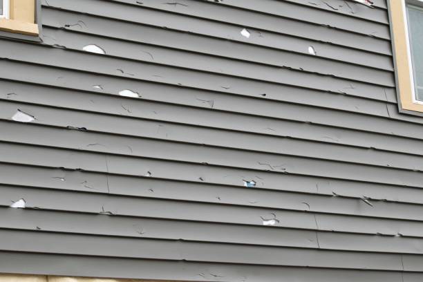 Best Brick Veneer Siding  in Ellsworth, WI