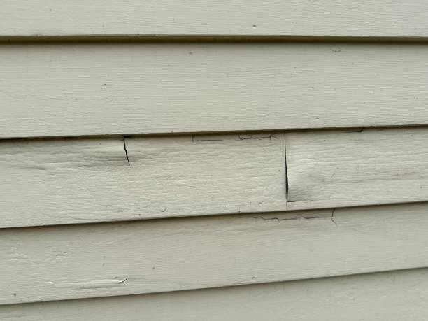 Best Vinyl Siding Installation  in Ellsworth, WI