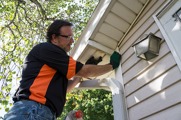 Best Siding Painting and Refinishing  in Ellsworth, WI